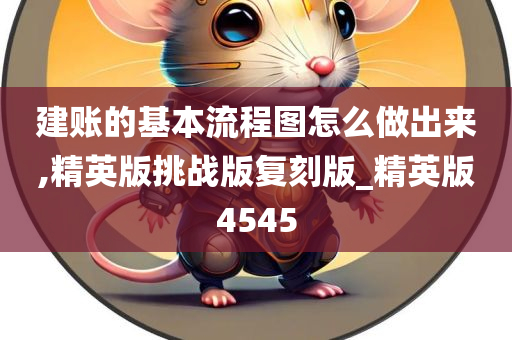 建账的基本流程图怎么做出来,精英版挑战版复刻版_精英版4545