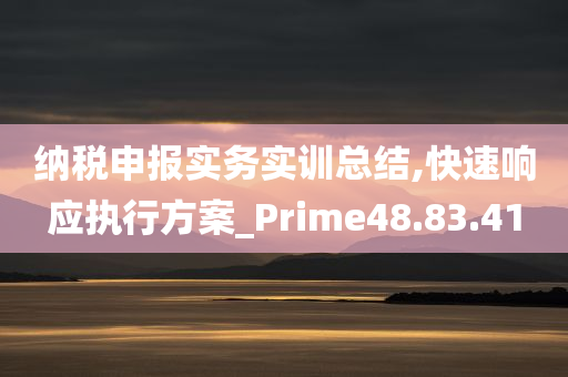 纳税申报实务实训总结,快速响应执行方案_Prime48.83.41