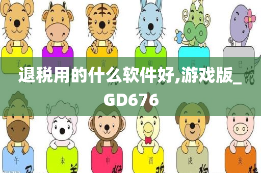 退税用的什么软件好,游戏版_GD676