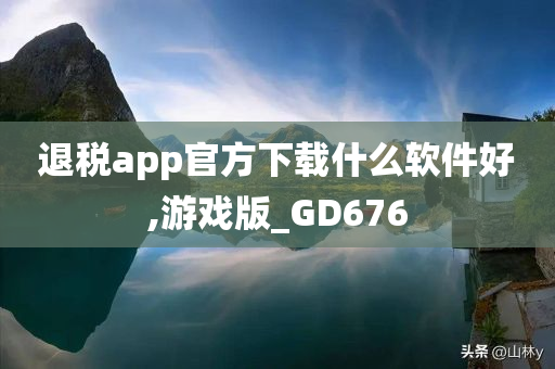 退税app官方下载什么软件好,游戏版_GD676