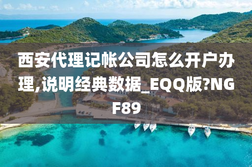 西安代理记帐公司怎么开户办理,说明经典数据_EQQ版?NGF89