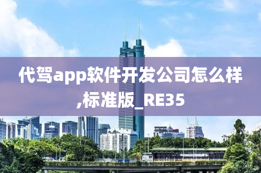 代驾app软件开发公司怎么样,标准版_RE35