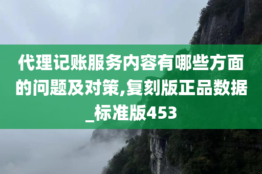 代理记账服务内容有哪些方面的问题及对策,复刻版正品数据_标准版453