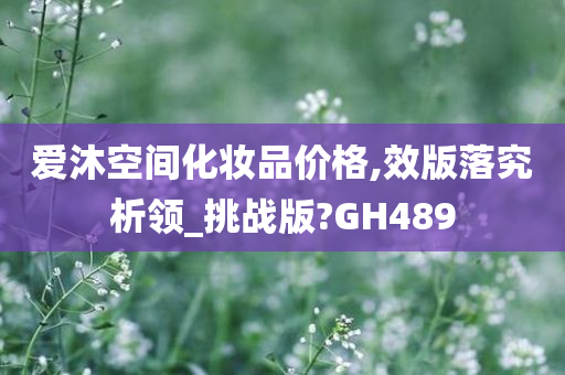 爱沐空间化妆品价格,效版落究析领_挑战版?GH489