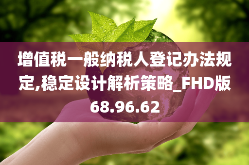 增值税一般纳税人登记办法规定,稳定设计解析策略_FHD版68.96.62