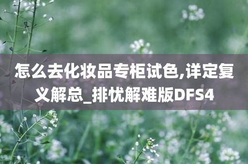 怎么去化妆品专柜试色,详定复义解总_排忧解难版DFS4