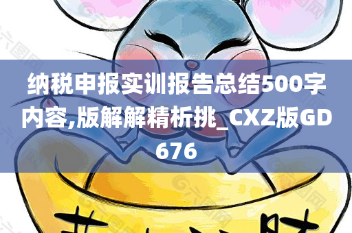 纳税申报实训报告总结500字内容,版解解精析挑_CXZ版GD676