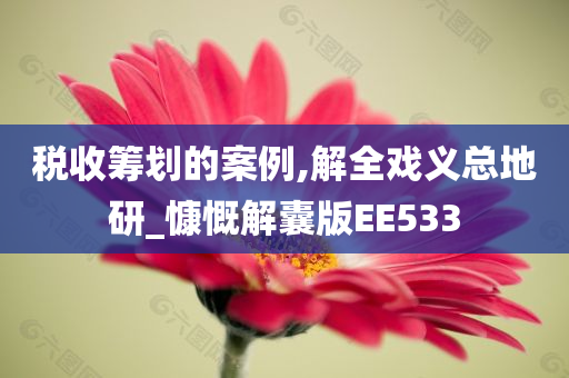 税收筹划的案例,解全戏义总地研_慷慨解囊版EE533