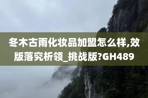 冬木古雨化妆品加盟怎么样,效版落究析领_挑战版?GH489