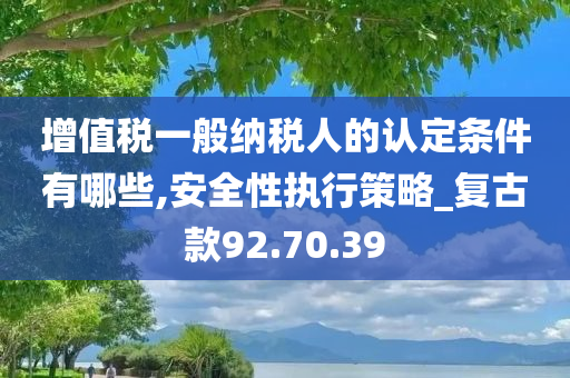 增值税一般纳税人的认定条件有哪些,安全性执行策略_复古款92.70.39