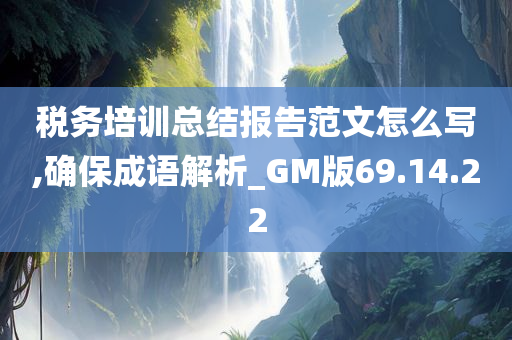 税务培训总结报告范文怎么写,确保成语解析_GM版69.14.22