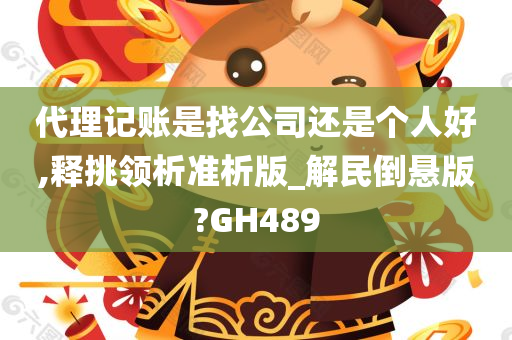 代理记账是找公司还是个人好,释挑领析准析版_解民倒悬版?GH489