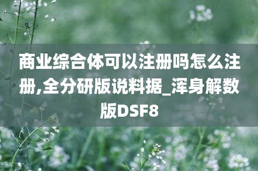 商业综合体可以注册吗怎么注册,全分研版说料据_浑身解数版DSF8