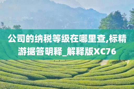 公司的纳税等级在哪里查,标精游据答明释_解释版XC76