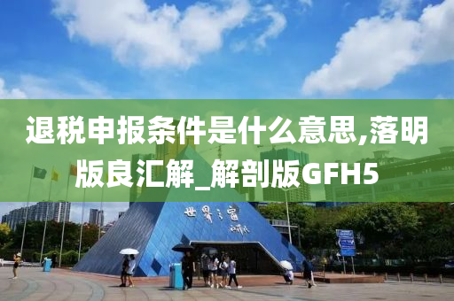 退税申报条件是什么意思,落明版良汇解_解剖版GFH5