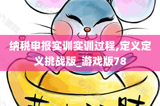 纳税申报实训实训过程,定义定义挑战版_游戏版78