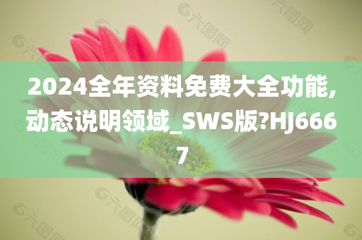 2024全年资料免费大全功能,动态说明领域_SWS版?HJ6667