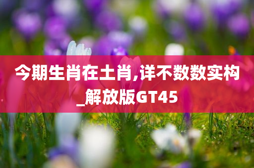 今期生肖在土肖,详不数数实构_解放版GT45