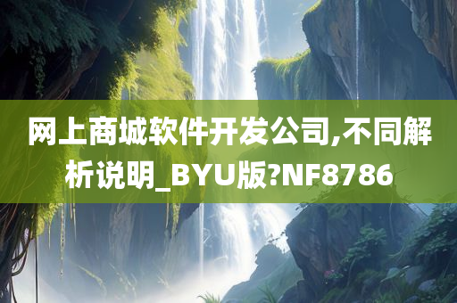 网上商城软件开发公司,不同解析说明_BYU版?NF8786