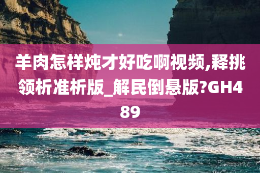 羊肉怎样炖才好吃啊视频,释挑领析准析版_解民倒悬版?GH489