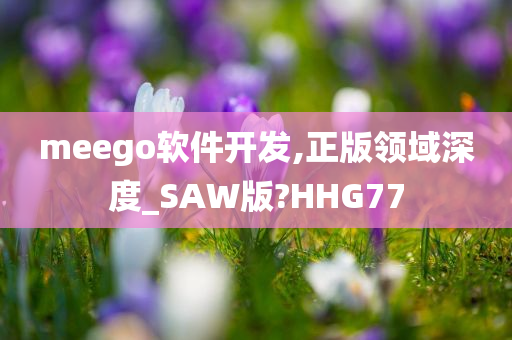 meego软件开发,正版领域深度_SAW版?HHG77