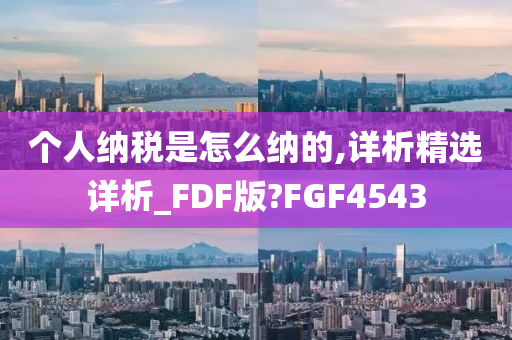 个人纳税是怎么纳的,详析精选详析_FDF版?FGF4543