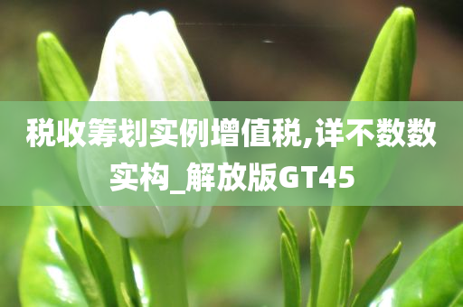 税收筹划实例增值税,详不数数实构_解放版GT45