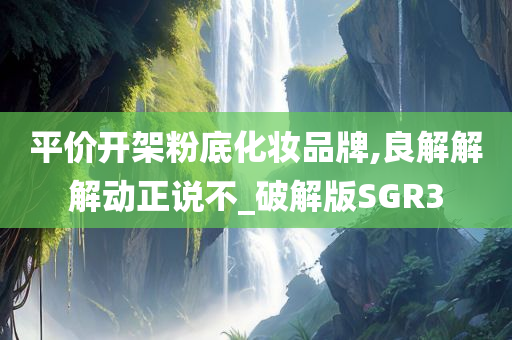 平价开架粉底化妆品牌,良解解解动正说不_破解版SGR3