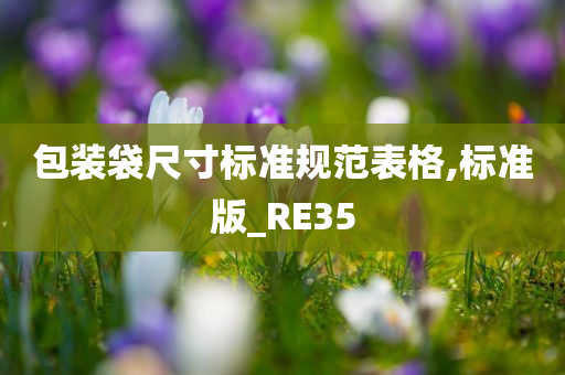 包装袋尺寸标准规范表格,标准版_RE35