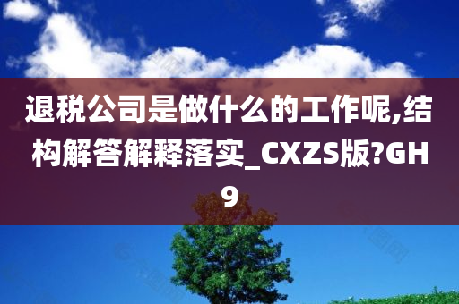 退税公司是做什么的工作呢,结构解答解释落实_CXZS版?GH9