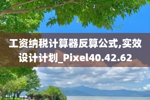 工资纳税计算器反算公式,实效设计计划_Pixel40.42.62