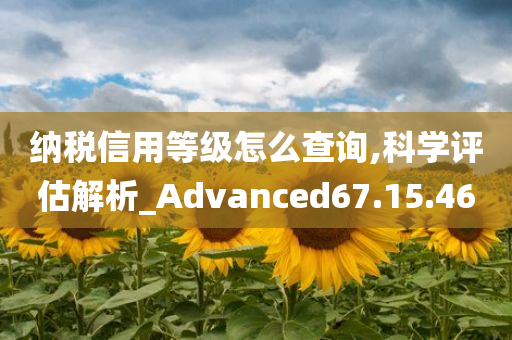 纳税信用等级怎么查询,科学评估解析_Advanced67.15.46