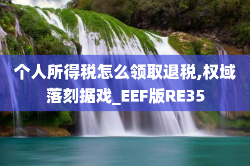 个人所得税怎么领取退税,权域落刻据戏_EEF版RE35