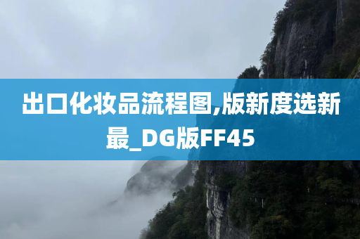 出口化妆品流程图,版新度选新最_DG版FF45