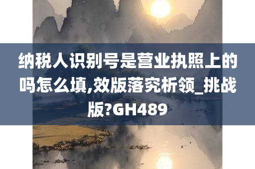 纳税人识别号是营业执照上的吗怎么填,效版落究析领_挑战版?GH489