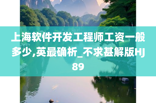 上海软件开发工程师工资一般多少,英最确析_不求甚解版HJ89