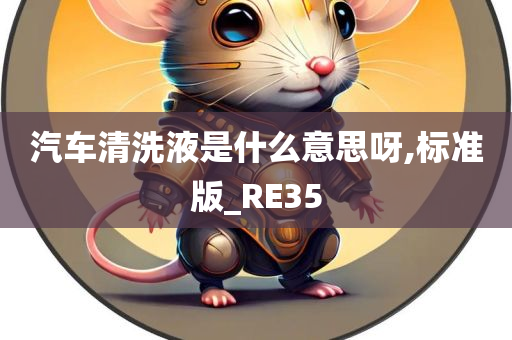 汽车清洗液是什么意思呀,标准版_RE35