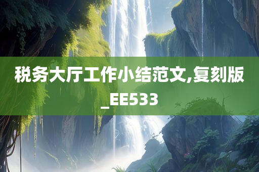 税务大厅工作小结范文,复刻版_EE533