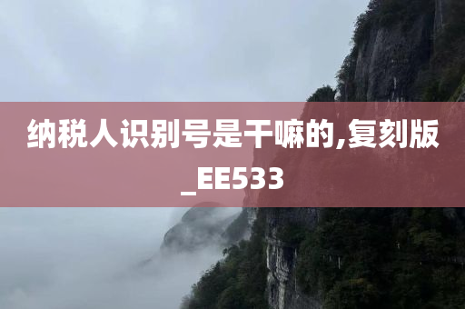 纳税人识别号是干嘛的,复刻版_EE533