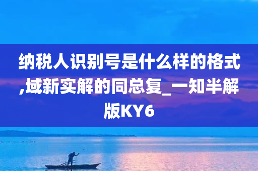 纳税人识别号