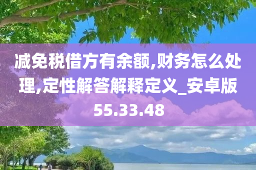 减免税借方有余额,财务怎么处理,定性解答解释定义_安卓版55.33.48