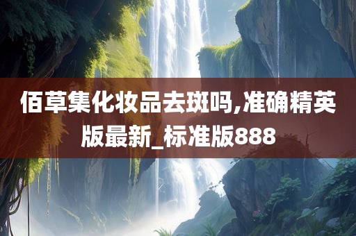 佰草集化妆品去斑吗,准确精英版最新_标准版888