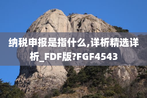 纳税申报是指什么,详析精选详析_FDF版?FGF4543