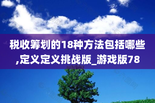 税收筹划的18种方法包括哪些,定义定义挑战版_游戏版78