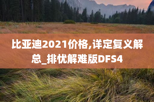 比亚迪2021价格,详定复义解总_排忧解难版DFS4