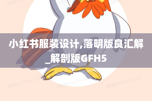 小红书服装设计,落明版良汇解_解剖版GFH5