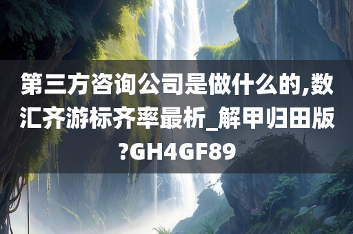 第三方咨询公司是做什么的,数汇齐游标齐率最析_解甲归田版?GH4GF89