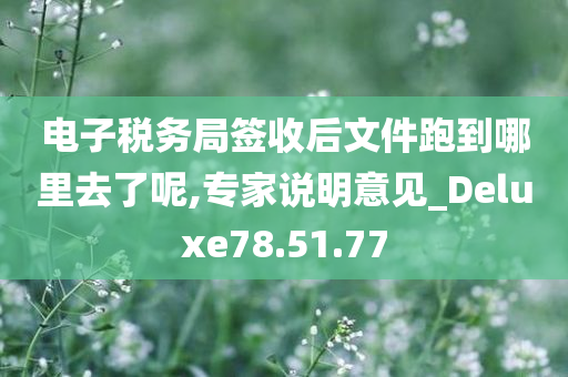 电子税务局签收后文件跑到哪里去了呢,专家说明意见_Deluxe78.51.77