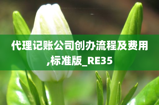 代理记账公司创办流程及费用,标准版_RE35