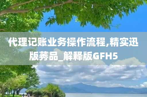 代理记账业务操作流程,精实迅版莠品_解释版GFH5